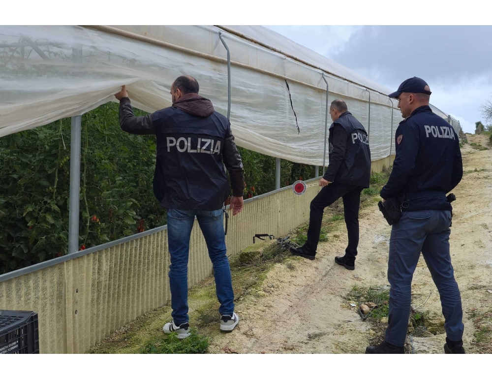 Truffa con azienda agricola fittizia, conclusione indagini per 35