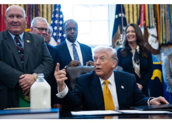 'Stiamo andando molto d'accordo con il Venezuela'