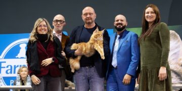 Il felino dal manto rosso e tigrato è nato a Parigi e vive a Brescia