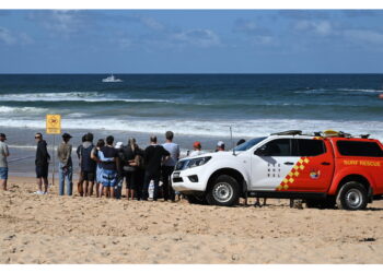 Acque sempre più affollate e aumento delle temperature mutano le rotte degli animali