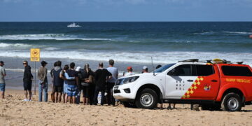 Acque sempre più affollate e aumento delle temperature mutano le rotte degli animali