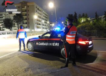 Nel Cosentino. Responsabile é stato arrestato dai carabinieri