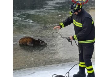 Alle Cave del Predil