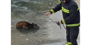 Alle Cave del Predil