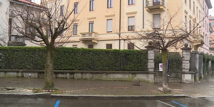 ciliegi via XX Settembre