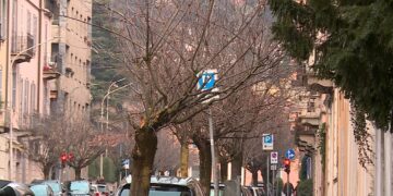 ciliegi XX Settembre Como