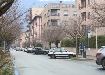 ciliegi via XX Settembre