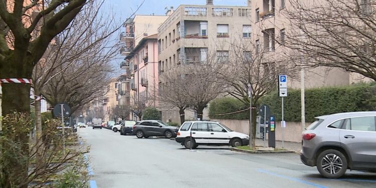 ciliegi via XX Settembre