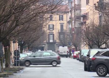 ciliegi via XX Settembre