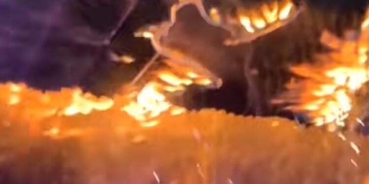 incendio Capodanno Crans-Montana