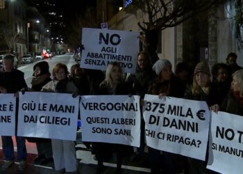 manifestazione ciliegi via XX Settembre