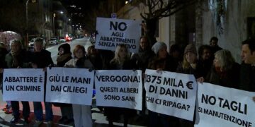 manifestazione ciliegi via XX Settembre