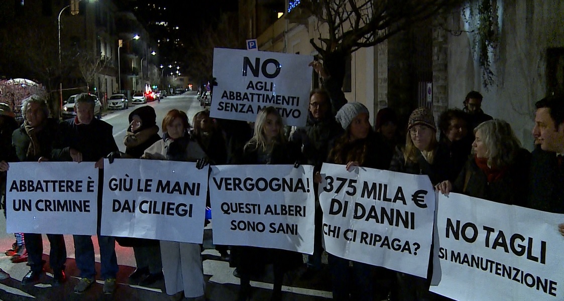 Ciliegi di via XX Settembre, ricompare il divieto di sosta e i residenti protestano. Avviata la raccolta fondi