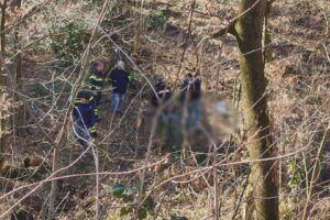 Montano Lucino, uomo senza vita trovato nel bosco. Indagini dei carabinieri