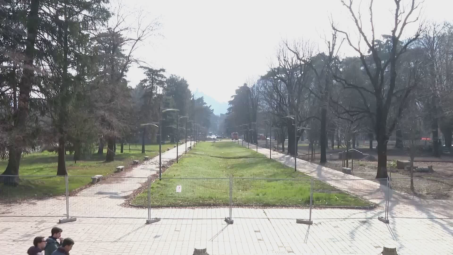 Como, ipotesi peri al posto dei ciliegi ai Giardini a Lago. Il sindaco: “Nessuna ripicca”