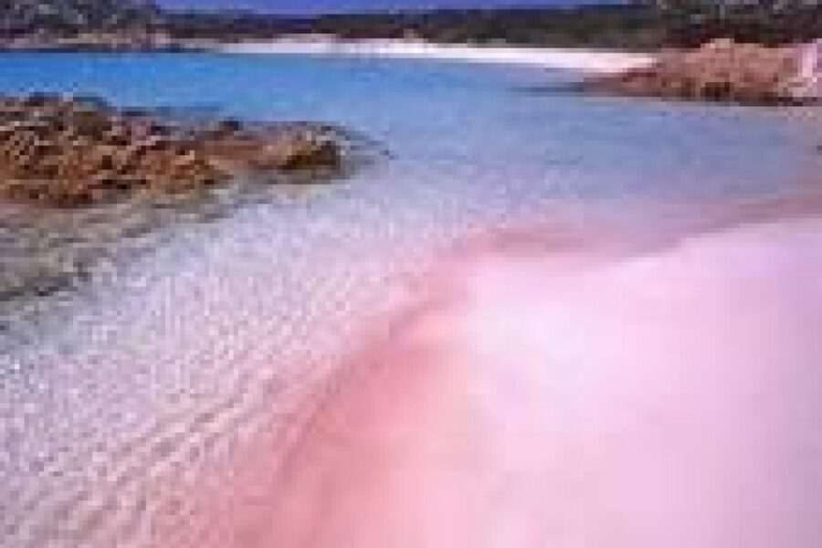 L'ente parco di La Maddalena ha deciso che sarà completamente rimossa