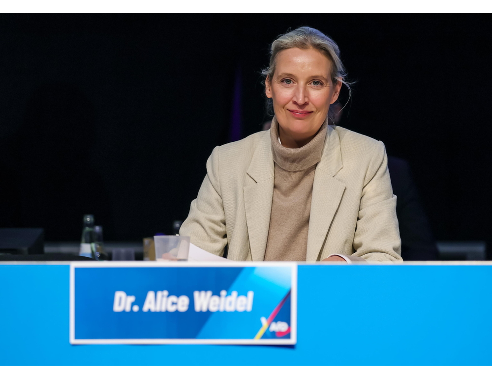 Afd, la decisione della Corte tedesca una vittoria per la democrazia