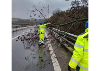 Sospesa linea regionale Fs