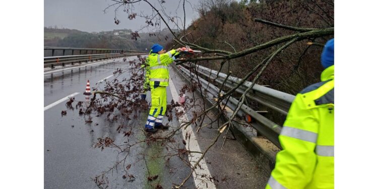 Sospesa linea regionale Fs