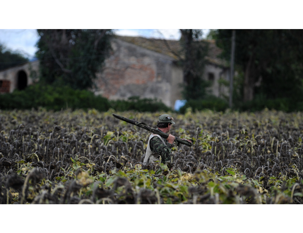 Arrivano 400mila firme contro la riforma della caccia