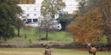 'Ora risiederebbe in un alloggio temporaneo'