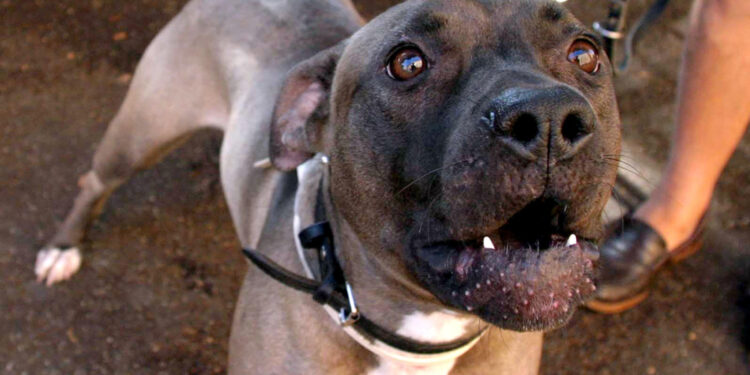 È accaduto nel Frusinate