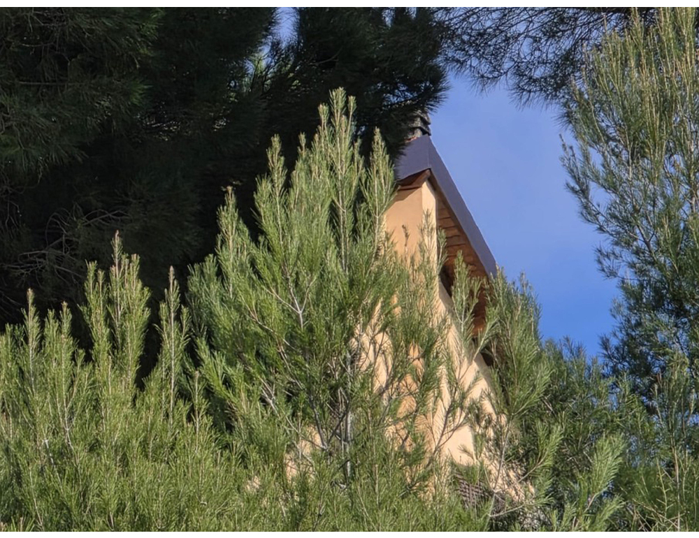 Ha viaggiato dalla casa del compagno fino a Bordighera