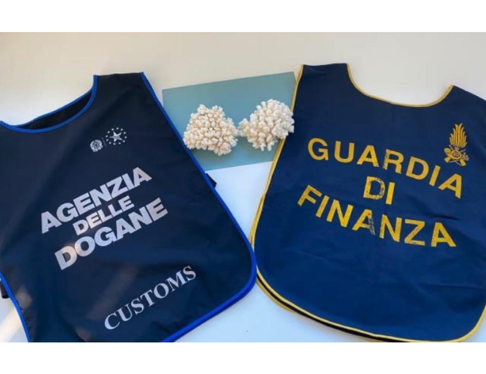 Passeggero straniero in arrivo dall'India con 1400 bustine