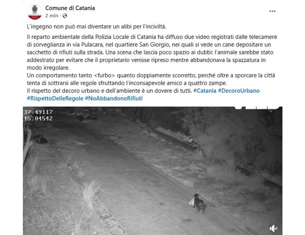 Cane addestrato a lasciare sacchetto rifiuti per eludere videosorveglianza