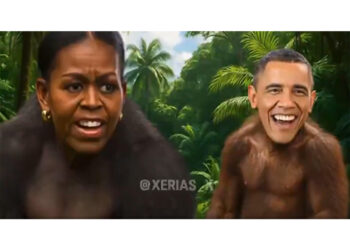 'E' un meme ispirato al Re Leone