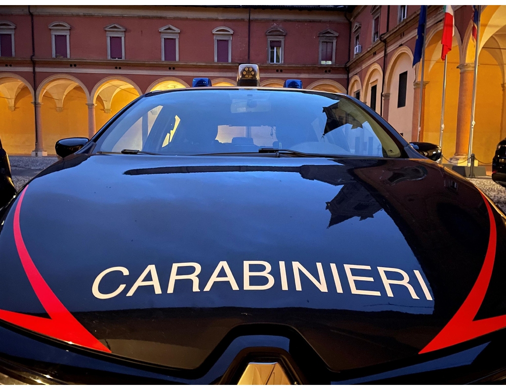 Colpito da un ramo durante una potatura, morto nel Reggiano