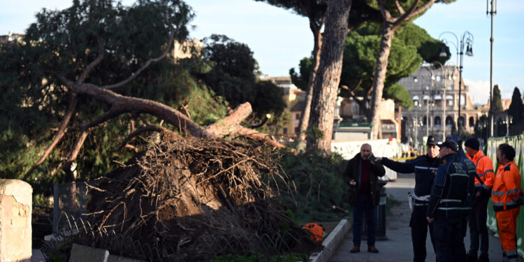 'La riapertura parziale della strada prevista nella settimana del 16 febbraio'