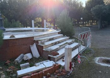 Hanno tra i 15 e i 17 anni