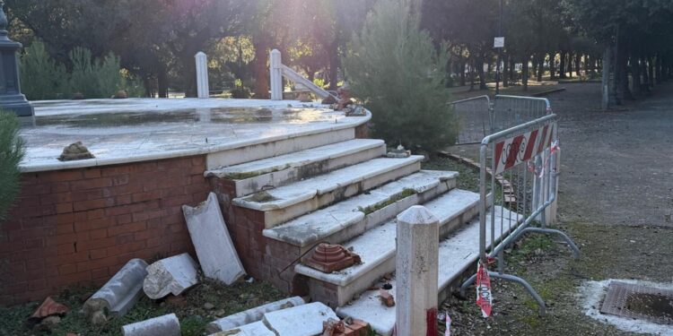 Hanno tra i 15 e i 17 anni