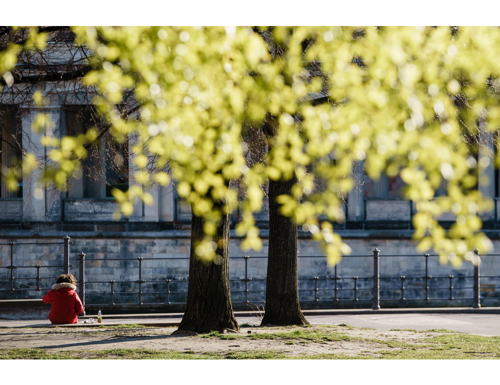 Domani torna la pioggia ma il weekend sarà soleggiato