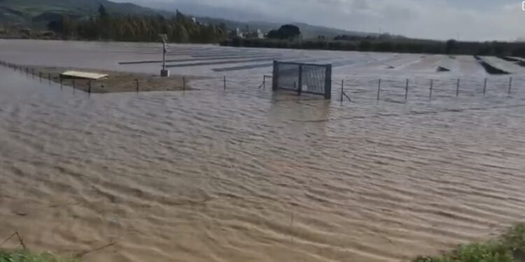 Fiume Crati rompe gli argini anche a Tarsia
