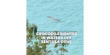 Attività acquatiche come il nuoto e il kayak sospese a tempo indeterminato