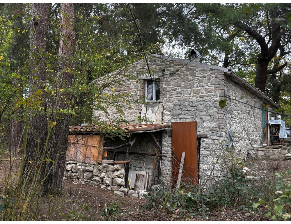 Famiglia nel bosco, Cantelmi ‘perplessità sulla gestione dei test’