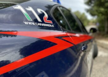 Dai carabinieri nel Torinese. 'Temeva di perdere la pensione'
