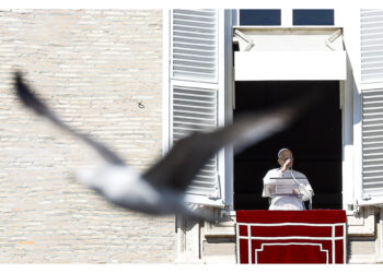 "Preghiamo per la pace e per la fratellanza tra i popoli"