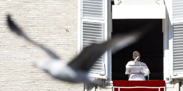 "Preghiamo per la pace e per la fratellanza tra i popoli"