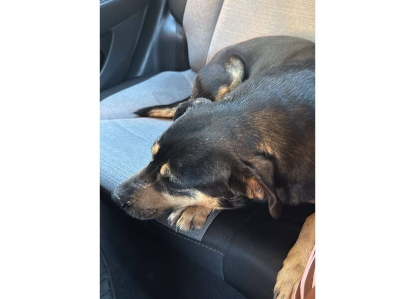 Raggiunge l'ospedale