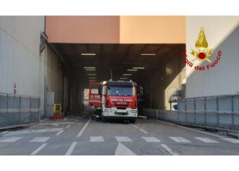 Schiacciato sotto una lastra nella ditta Prismag