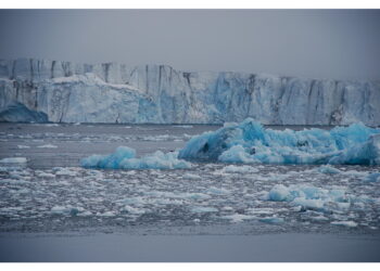 'Da Pechino mire crescenti sui porti