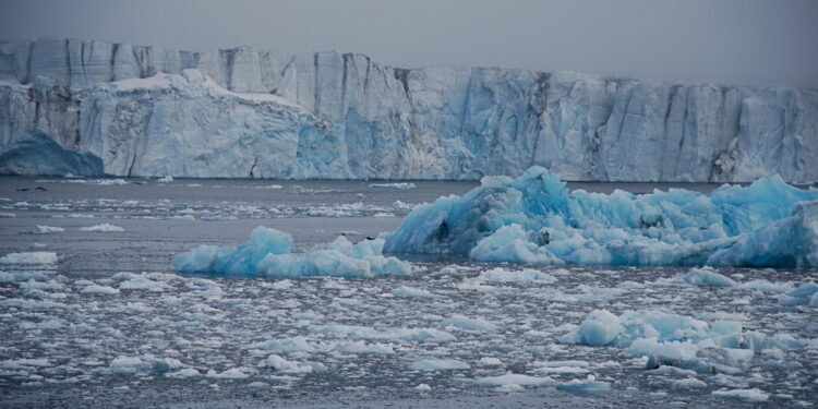 'Da Pechino mire crescenti sui porti