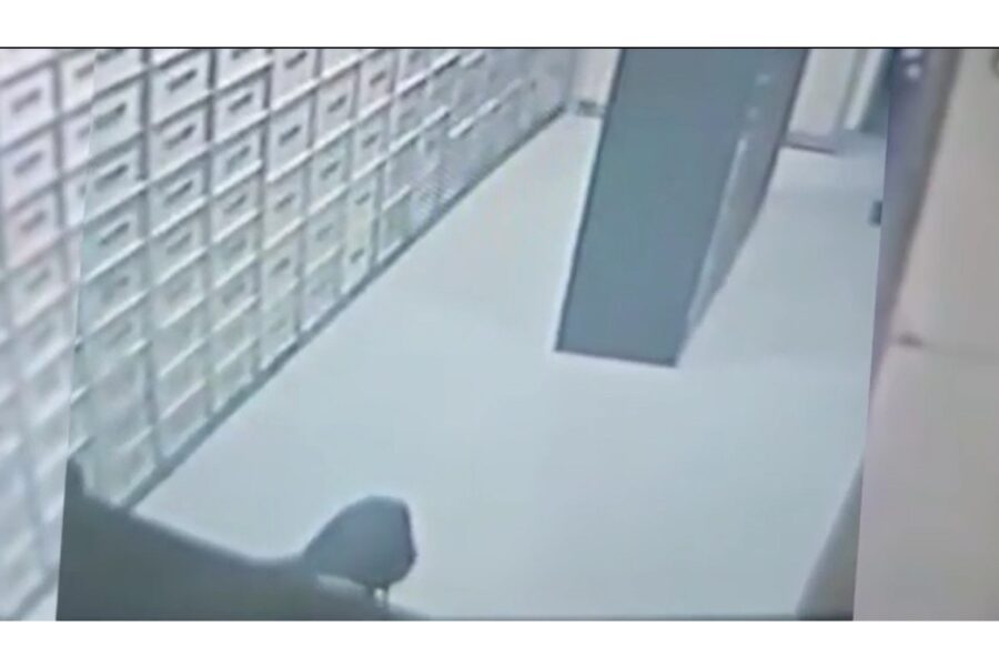 Era entrato durante l'orario di apertura