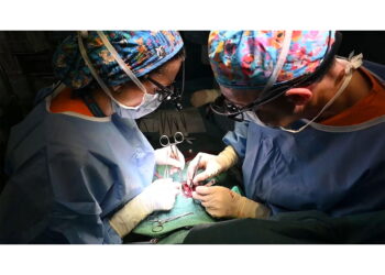 "Altrimenti tutto inutile. Superata emorragia e ora di nuovo in lista"