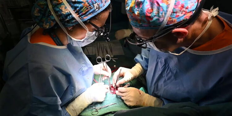 "Altrimenti tutto inutile. Superata emorragia e ora di nuovo in lista"