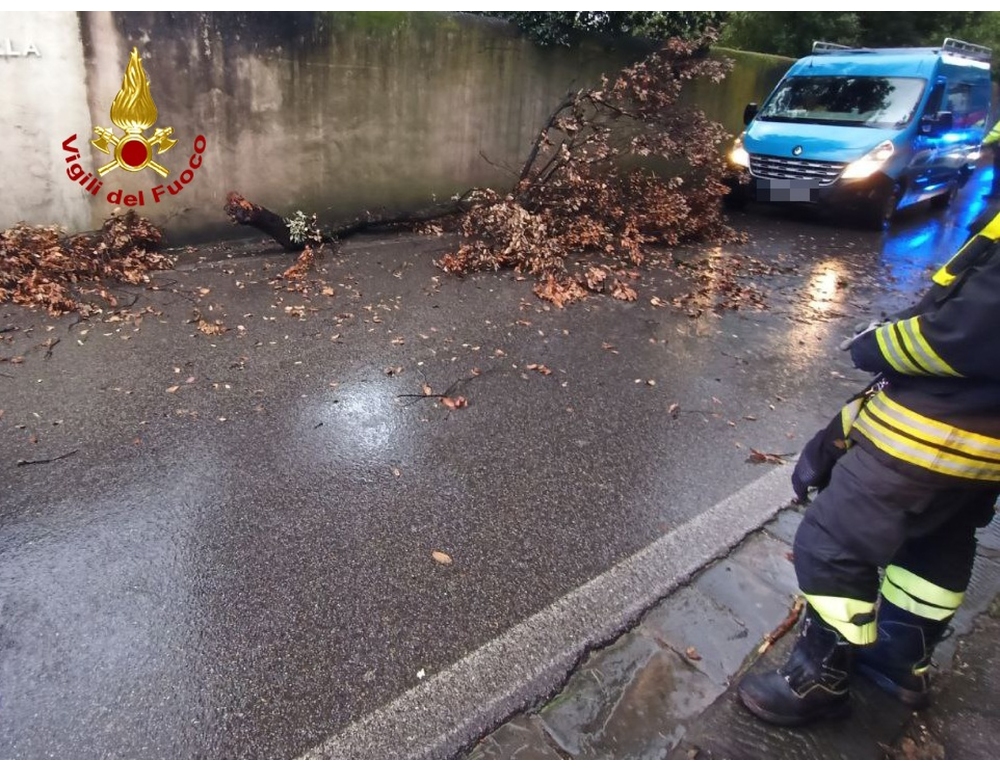Maltempo, albero cade e colpisce scooterista a Firenze