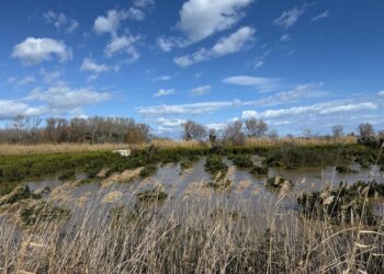 Sindaco Cassano allo Ionio: "La situazione resta critica"
